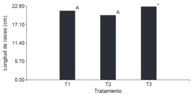 Figura 5. Longitud de raíces respecto a los métodos de fertirriego