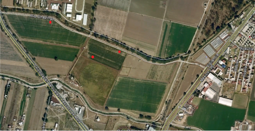 Figura 1. Vista satelital del campo experimental Tlapeaxco, Montecillo y la Cerona. Google Earth 2012 ®