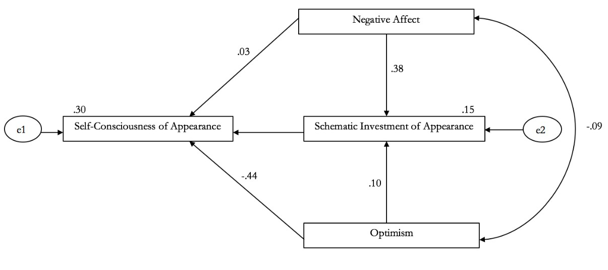  Model of the measurement of the Schematic Investment of Appearance over the levels of Self-Consciousness of Appearance. With the exception of the trajectories Optimism→ Schematic Investment of Appearance and Negative Affect→Self-Consciousness of Appearance.
