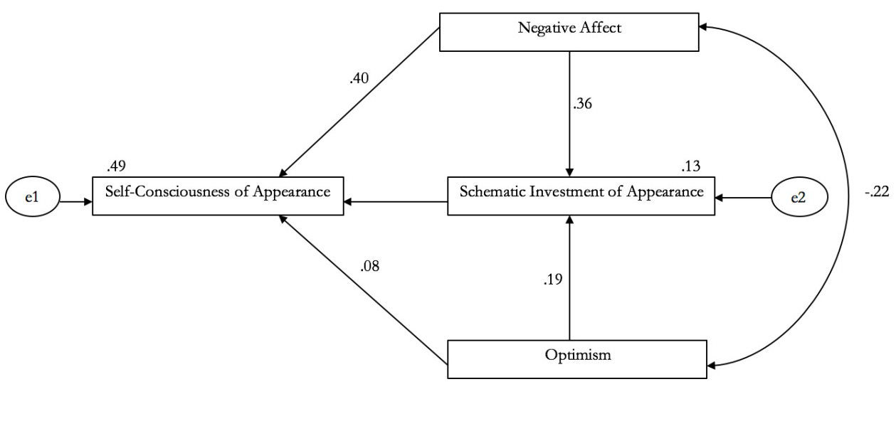 Model of the measurement of the Schematic Investment of Appearance over the levels of Self-Consciousness of Appearance. With the exception of the trajectories Optimism→ Schematic Investment of Appearance and Optimism→Self-Consciousness of Appearance.