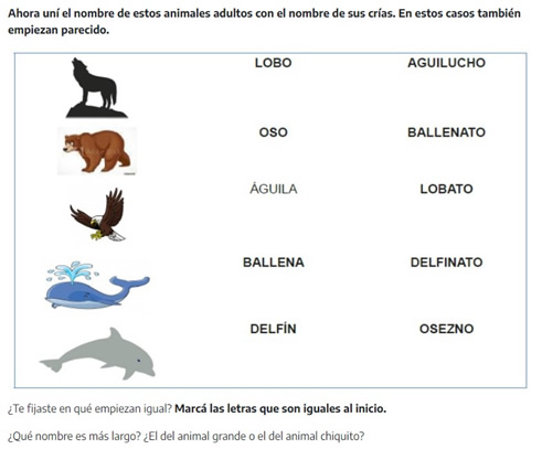 Unir nombre de animal adulto
con su cría, 4ta entrega