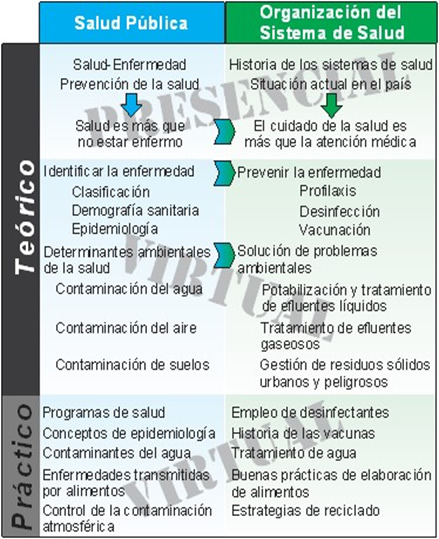 Selección de contenidos y articulación
entre materias