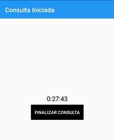 Consulta Finalizada