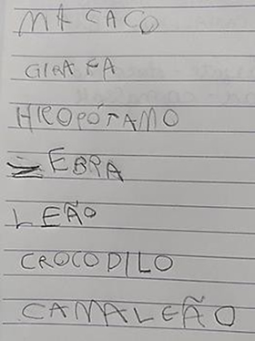 Escrita do nome dos animais preferidos pela C1