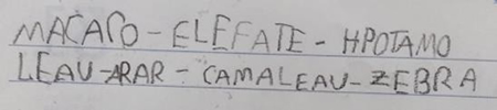  Escrita do nome dos animais preferidos pela C2
