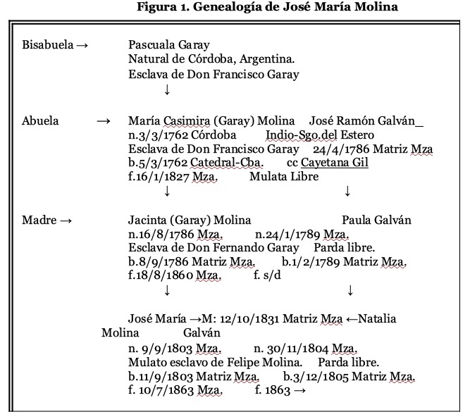 Figura 1. Genealog&iacute;a de Jos&eacute; Mar&iacute;a
Molina