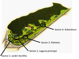 Mapa del
Jardín Botánico de Caracas. Sectores seleccionados como áreas de estudios.