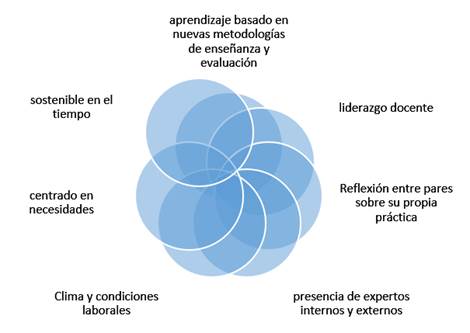 Características de los programas de DPD basados en trabajo colaborativo docente
(TCD)