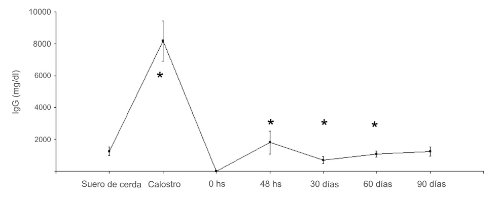 Concentración media (± DE) de IgG en suero y
  calostro de cerdas y evolución media (± DE) de la concentración en suero de
  crías desde las 0 horas hasta los 90 días posparto. (*corresponde a
  diferencias con suero materno (p<0,05) ).