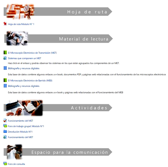 Estructura general de un módulo de un curso de posgrado sobre microscopía
  electrónica de transmisión en ciencias biológicas (captura
  de pantalla del
  aula virtual Moodle).