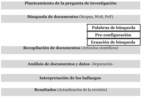 Figura 1. Descripción
del proceso de revisión