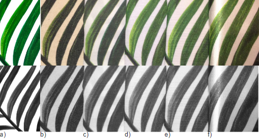 Resultado: alteração de valor entre as amostras. Imagens coloridas (acima)
e respectivas imagens em preto e branco (abaixo)