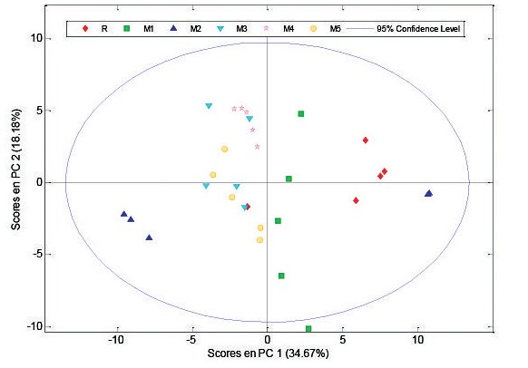 Gráfico de score PC1 vs PC3 derivado de los espectros de 1H-RMN 600 MHz de los extractos de Ginkgo biloba.