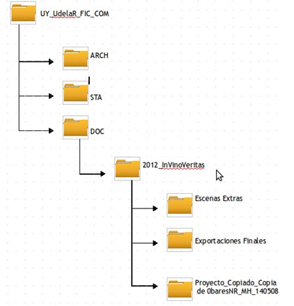 Organización de las carpetas dentro
del repositorio