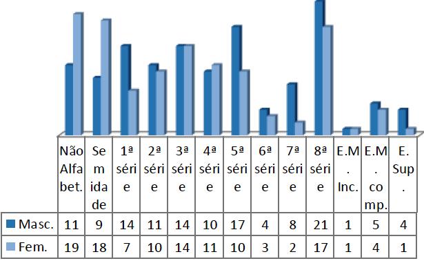 Gráfico 4 - Nível de escolaridade