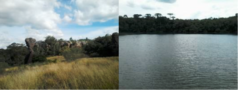 Paisagens do Parque de Vila
Velha (Arenitos e Lagoa Dourada).