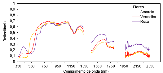  Espectro de reflectância das
flores com colorações distintas (amarela, vermelha e roxa)