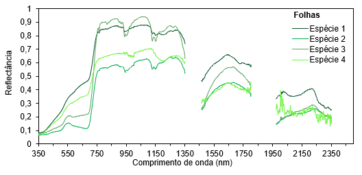 Espectro de reflectância de
folhas de diferentes espécies e tonalidade de verde