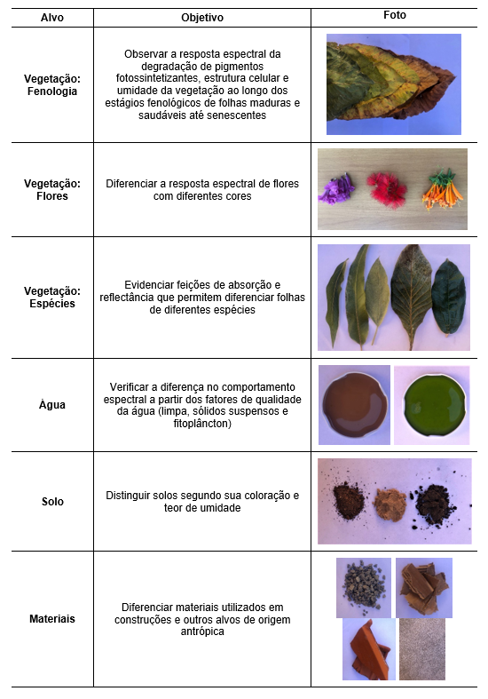 Alvos analisados por cada grupo
com seus respectivos objetivos e fotos para ilustrar