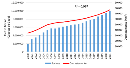 Gráfico do desmatamento acumulado (linhas)
e incrementado (colunas) por estado da Amacro