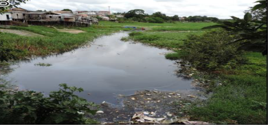 Rio Miriti
contaminado por efluentes e res&iacute;duos s&oacute;lidos
