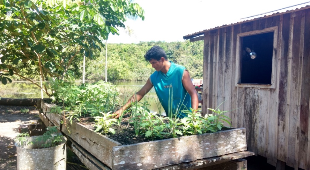 Agricultor da comunidade
Terra Preta trabalhando em sua hortali&ccedil;a