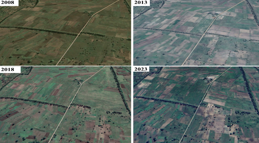 Evolu&ccedil;&atilde;o do uso do solo no agroecossistema de Guilaze