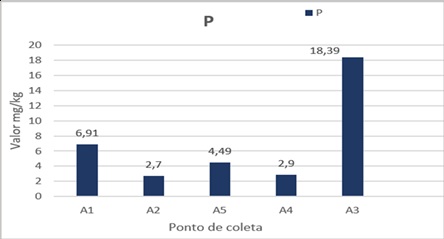 Resultado da análise do Fósforo disponível no solo