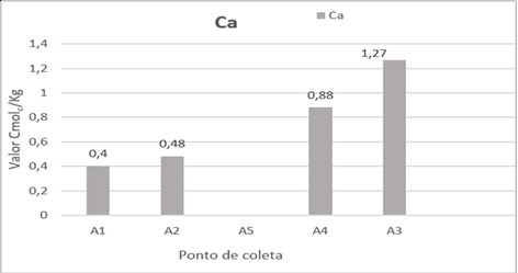 Resultado da análise do teor de Cálcio disponível no solo