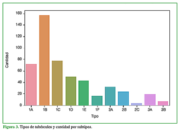 Tipos de tubérculos y cantidad por subtipos.