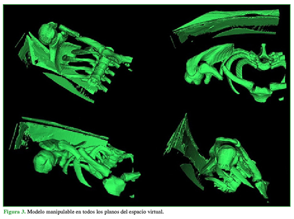 Modelo manipulable en todos los planos del espacio virtual.