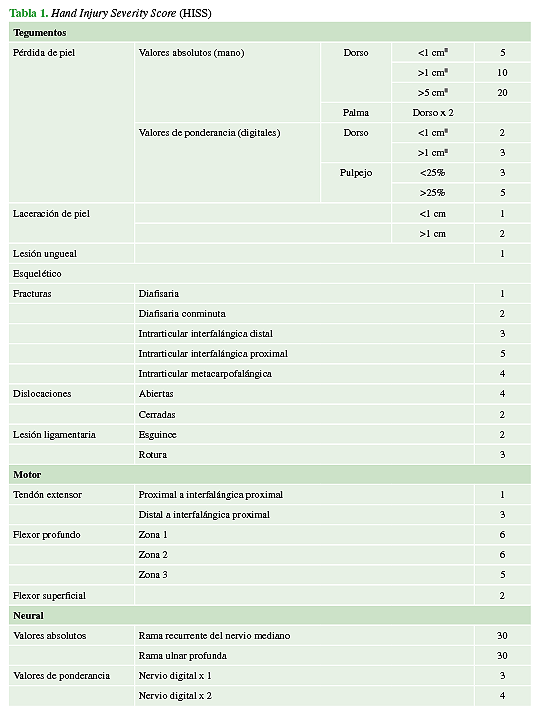 Hand Injury Severity Score (HISS)