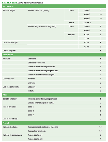 ESCALA HISS.Hand Injury Severity Score
