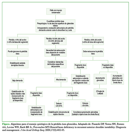Algoritmo para el manejo quirúrgico de la pérdida ósea glenoidea. Adaptado de: Piasecki DP, Verma NN, Romeo AA, Levine WN, Bach BR Jr., Provencher MT. Glenoid bone deficiency in recurrent  anterior schoulder instability: Diagnosis and management. J Am Acad Orthop Surg 2009;17(8):482-493. 