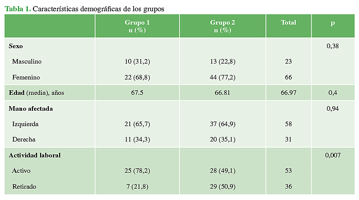 Características demográficas de los grupos
