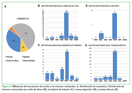 Relación del mecanismo de acción y las
lesiones vertebrales. A.
Distribución de cinemática. Distribución de lesiones ocasionadas por caída de
altura (B), accdientes de tránsito (C), trauma deportivo (D) y trauma directo (E).