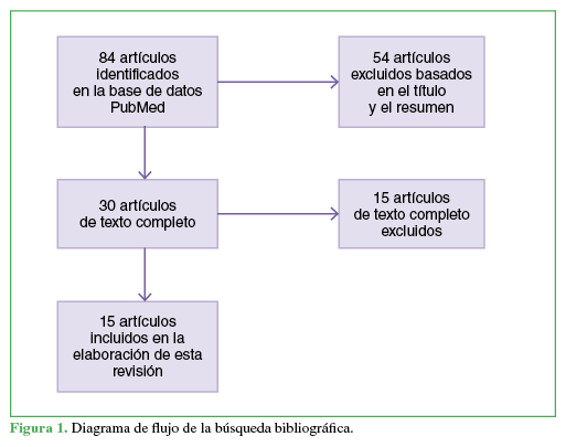 Diagrama de flujo de la b&uacute;squeda
bibliogr&aacute;fica