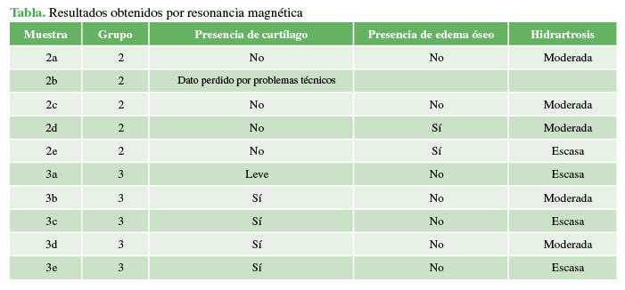 Resultados obtenidos por resonancia magnética