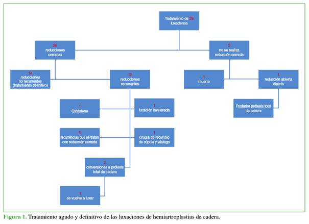 Tratamiento agudo y definitivo de las luxaciones de hemiartroplastias de cadera.