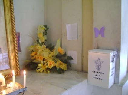 Figuras 5 y 6.
