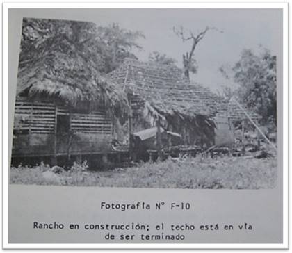 Cantón de Upala. Rancho en construcción (1963)
