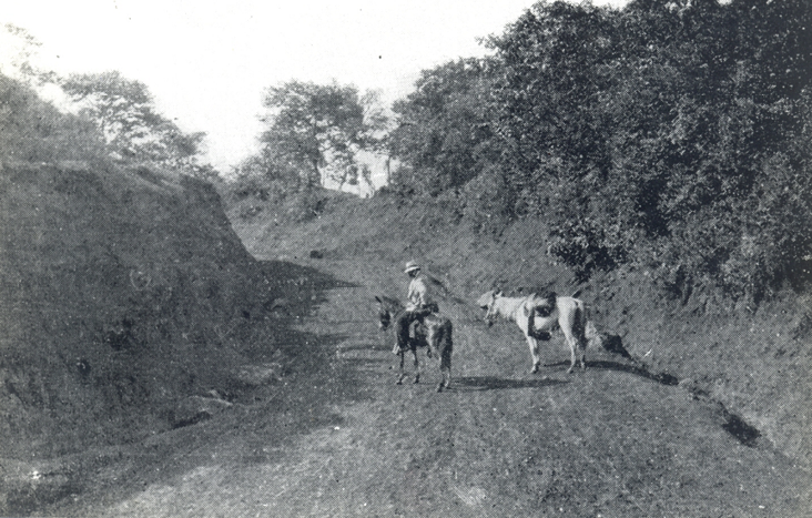 Antiguo camino de comunicación entre Alajuela y Grecia, 
siglos XIX-XX