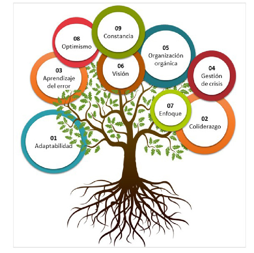El árbol de la resiliencia empresarial