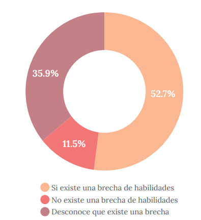 Existencia de una brecha de habilidades