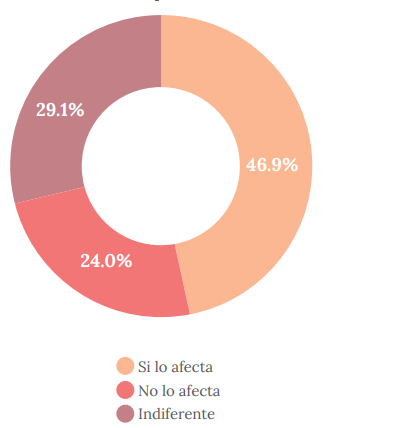 Percepci&oacute;n de la afectaci&oacute;n a futuro por la
brecha