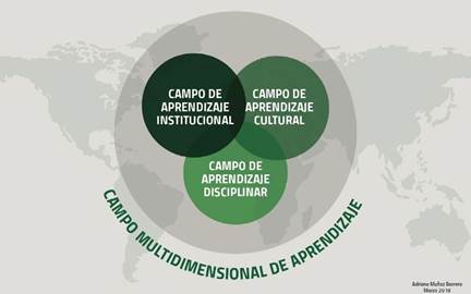 Campo multidimensional de aprendizaje. 

 