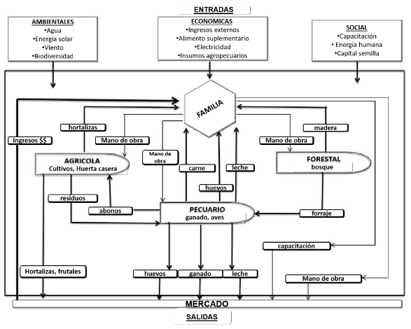 Diagrama del sistema de producción, ejemplo finca caracolí.
