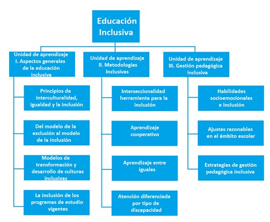  Estructura del curso de Educación Inclusiva, plan de estudios 2018
(SEP, 2020, p. 13
