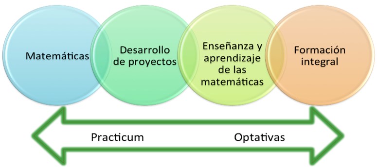 Ejes formativos de la LEM (elaboración propia)