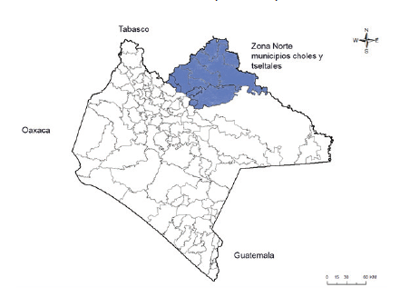 Zona Norte de Chiapas, municipios choles y tseltales.